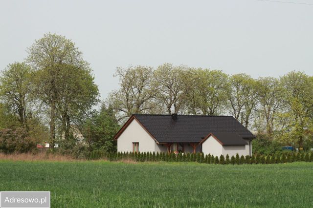 dom wolnostojący, 4 pokoje Bąblin. Zdjęcie 1