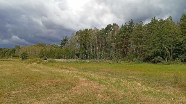 Działka rolna Helenów. Zdjęcie 1