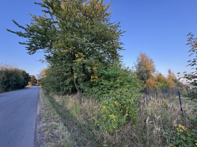 Działka rolno-budowlana Jordanów. Zdjęcie 3