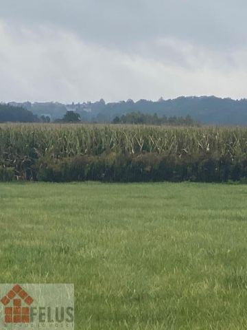 Działka inwestycyjna Rybna, ul. Storczykowa. Zdjęcie 9