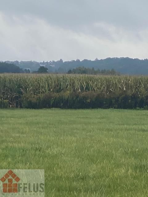 Działka inwestycyjna Rybna, ul. Storczykowa. Zdjęcie 9