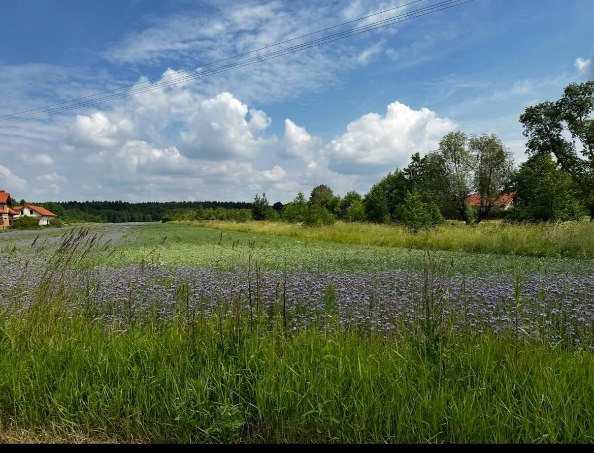 dom wolnostojący, 3 pokoje Cybulice, ul. Borkowa. Zdjęcie 8