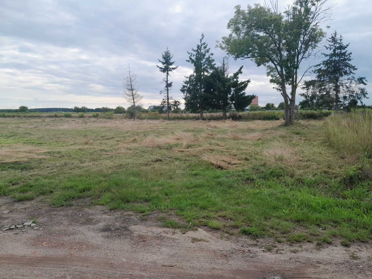 Działka rolno-budowlana Dębno, ul. Chojeńska. Zdjęcie 3