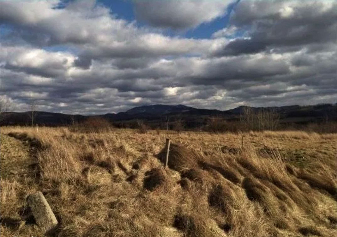 Działka rolna Cieszyn, Puńców. Zdjęcie 8