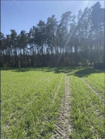 Działka budowlana Jagodziniec. Zdjęcie 1