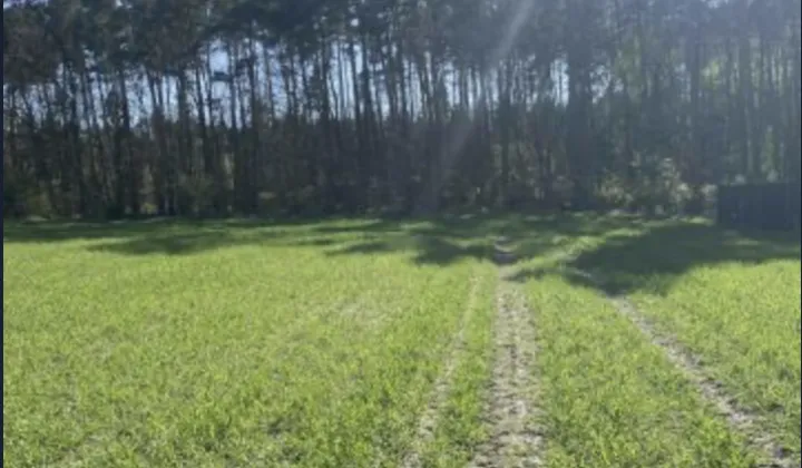 Działka budowlana Jagodziniec