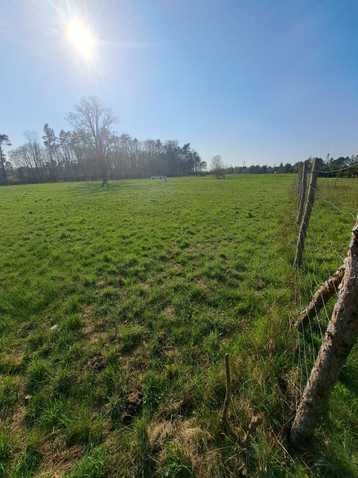 Działka rolno-budowlana Kicko. Zdjęcie 2