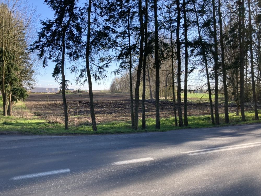 Działka rolno-budowlana Pyrzyce. Zdjęcie 2