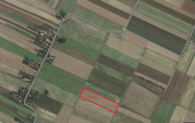 Działka rolna Prędocin-Kolonia. Zdjęcie 1