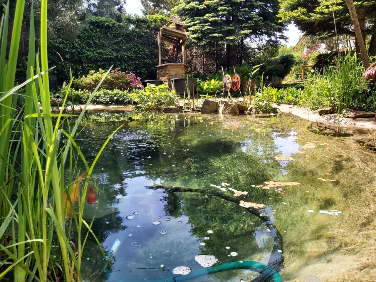 bliźniak, 8 pokoi Jasień. Zdjęcie 12