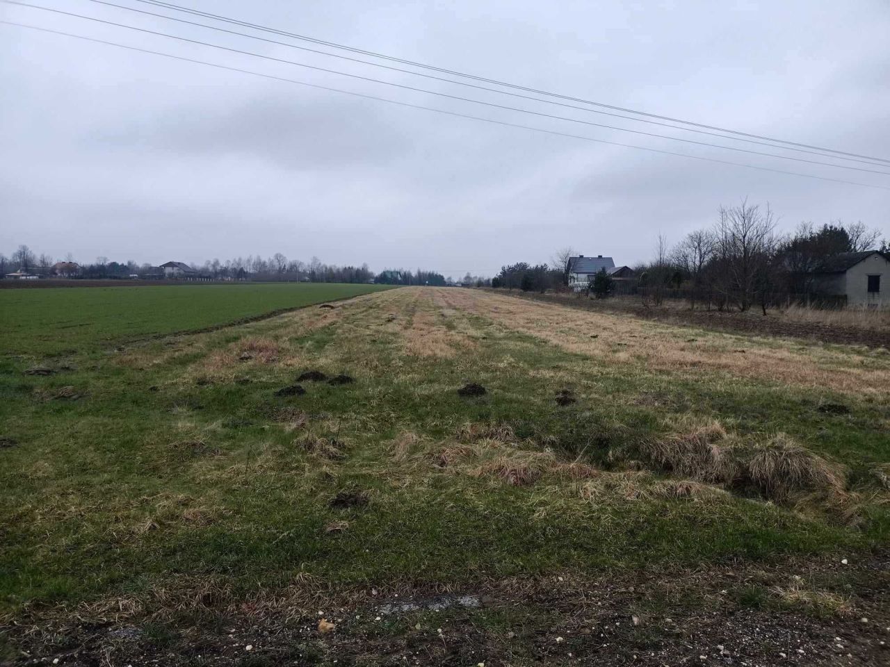 Działka budowlana Kotfin. Zdjęcie 6