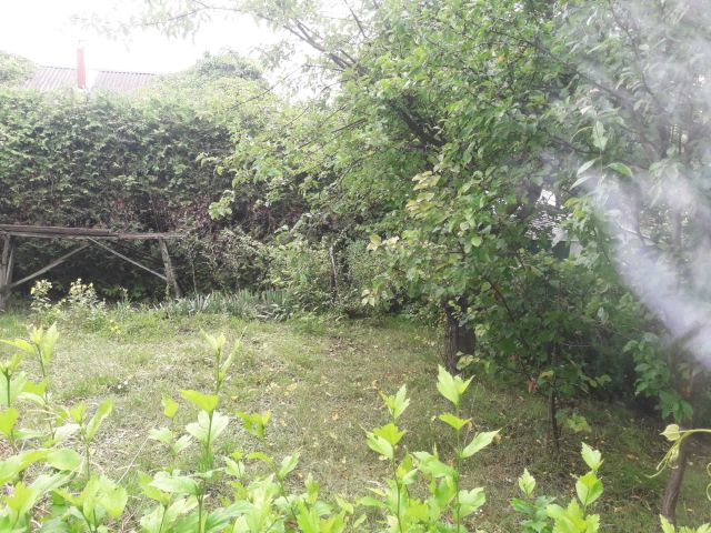 Działka rekreacyjna Dojazdów. Zdjęcie 1