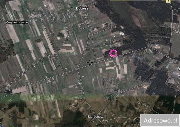 Działka leśna Sierzchów, ul. Brzozowa. Zdjęcie 2