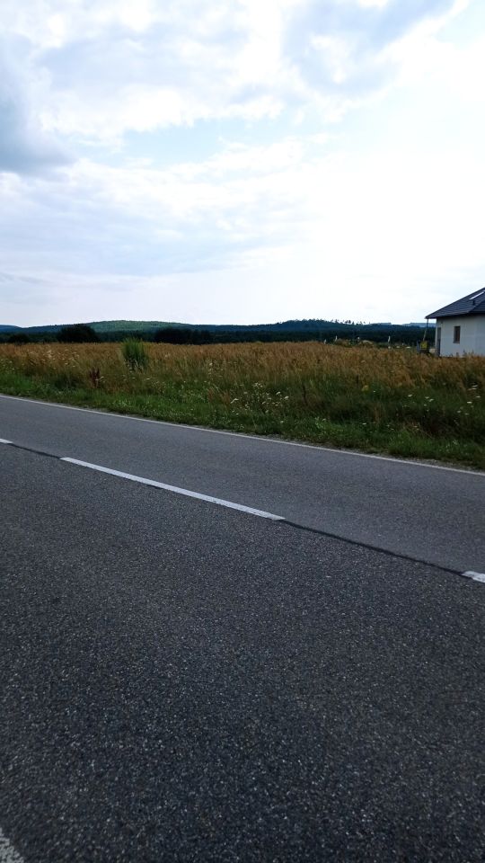 Działka rolna Gnieździska. Zdjęcie 2