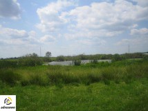 Działka budowlana Wielochowo. Zdjęcie 3