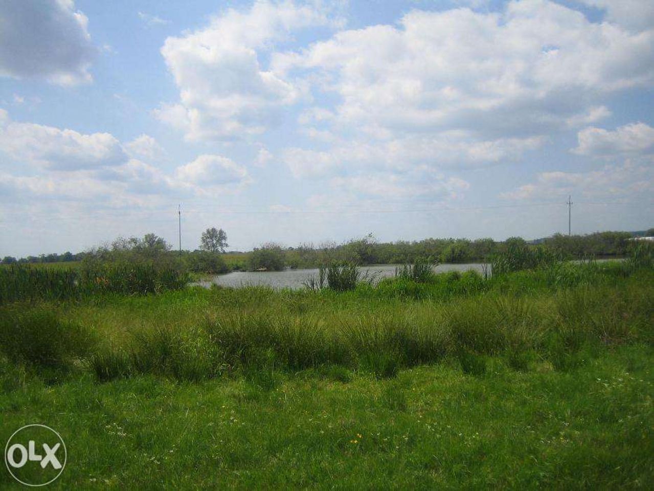 Działka budowlana Wielochowo. Zdjęcie 4