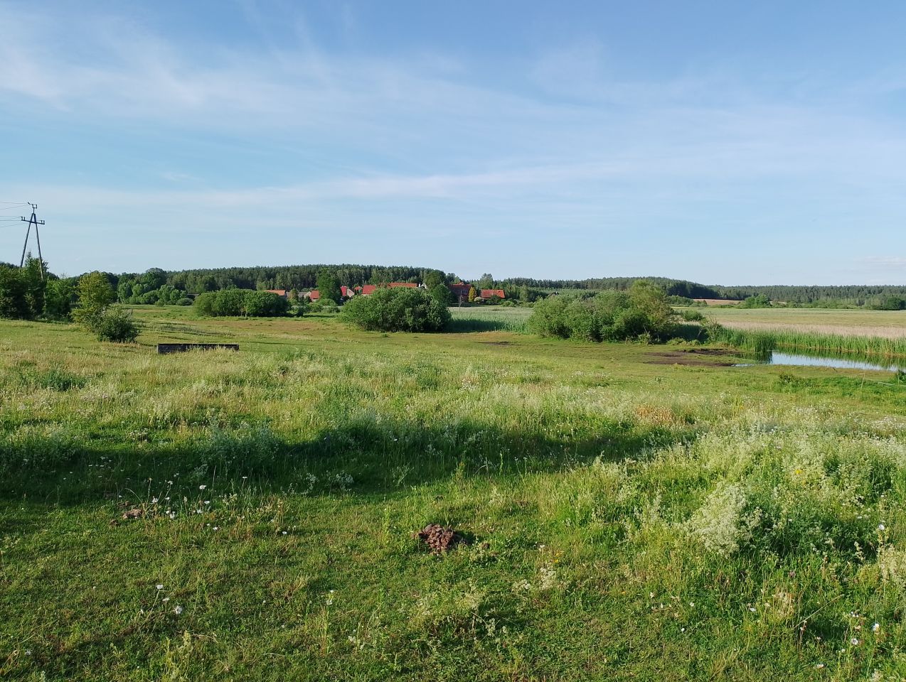 Działka rekreacyjna Kurki. Zdjęcie 7