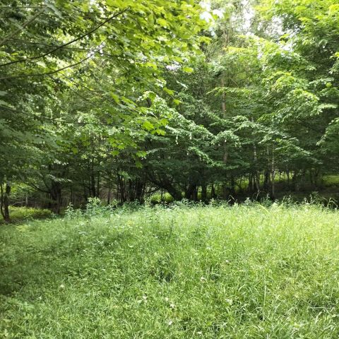 Działka rekreacyjna Zembrzyce. Zdjęcie 1