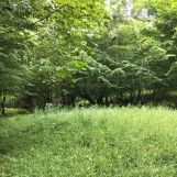 Działka rekreacyjna Zembrzyce