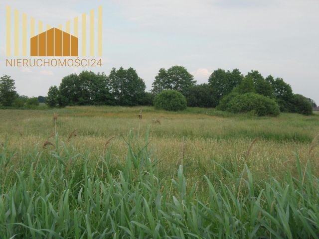 Działka rolna Siennica. Zdjęcie 1