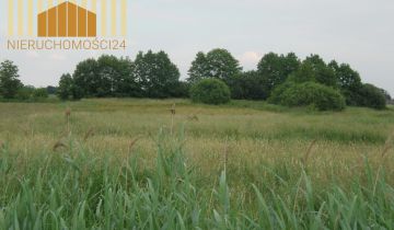 Działka rolna Siennica