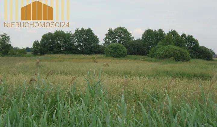 Działka rolna Siennica