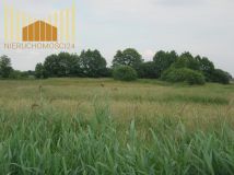 Działka rolna Siennica