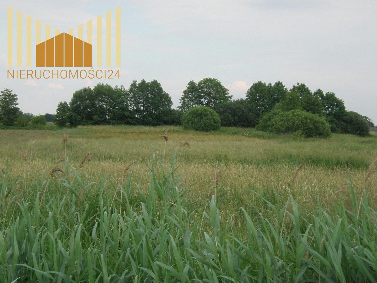 Działka rolna Siennica