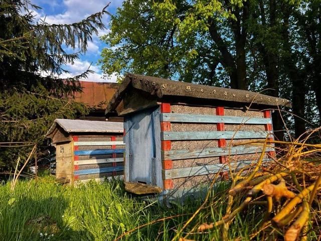 siedlisko, 5 pokoi Żuków Dębina. Zdjęcie 21