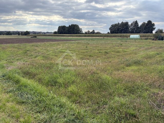 Działka budowlana Oblęgór. Zdjęcie 5