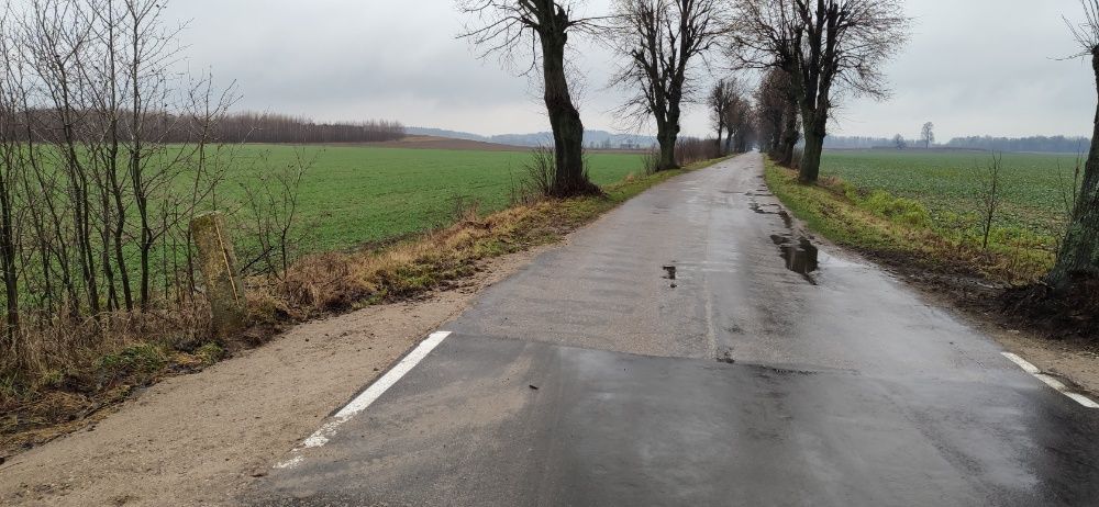 Działka budowlana Gąsiorowo. Zdjęcie 4