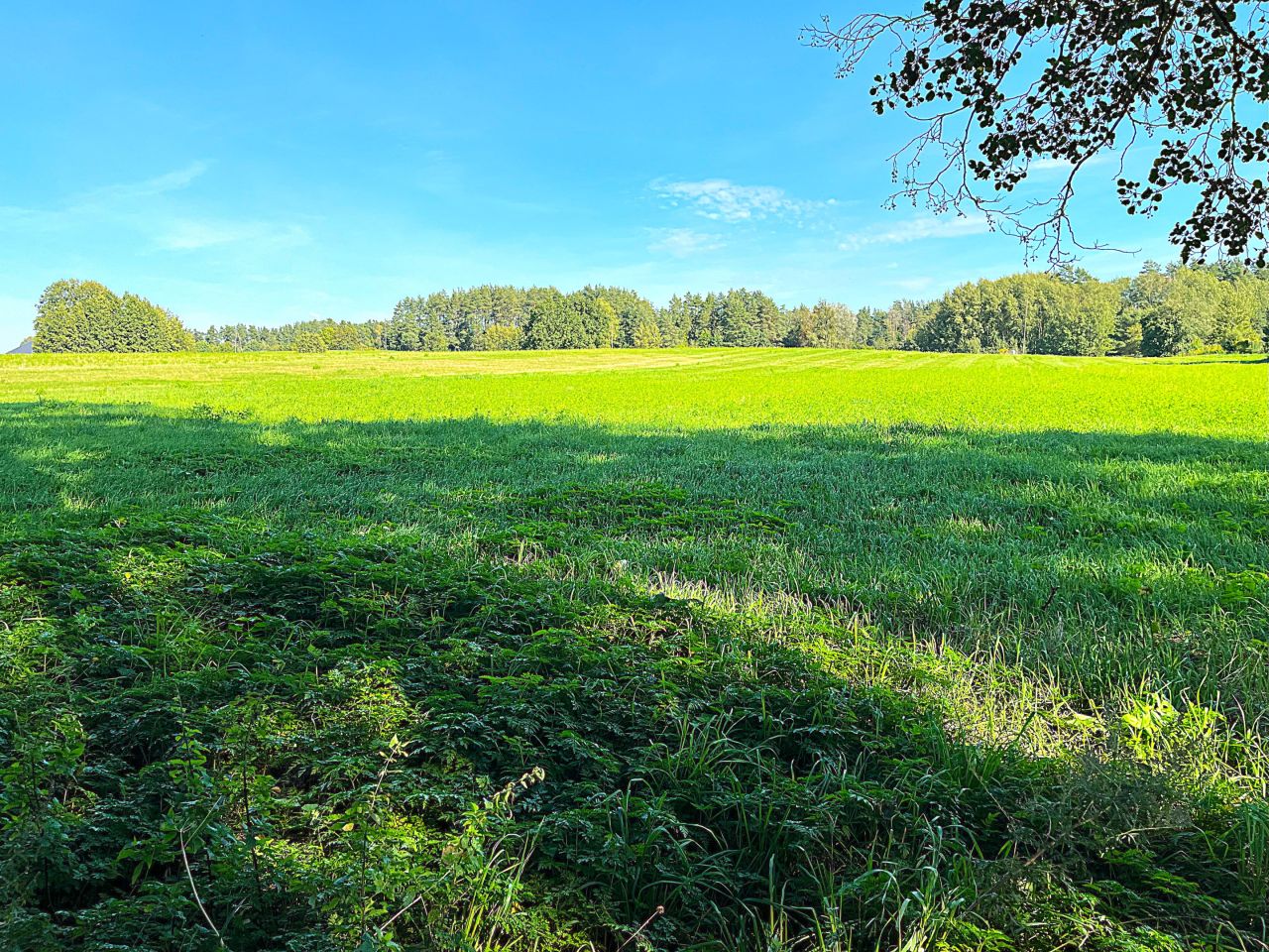 Działka budowlana Zawada. Zdjęcie 2