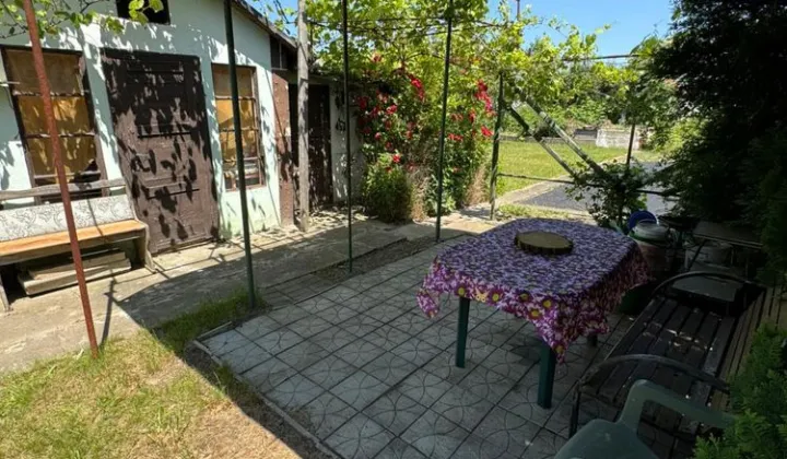 Działka rod Nysa, ul. Adama Mickiewicza