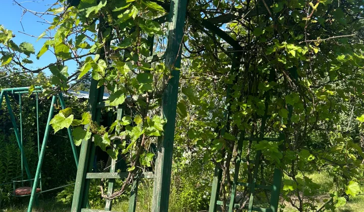 Działka rod Warszawa Mokotów, ul. Ludwika Idzikowskiego