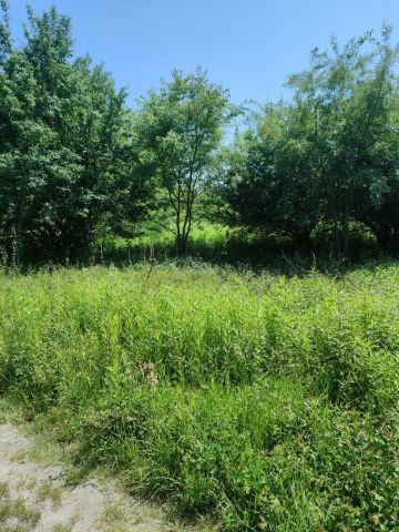 Działka rekreacyjna Tarnobrzeg Kajmów, ul. Pochyła. Zdjęcie 1