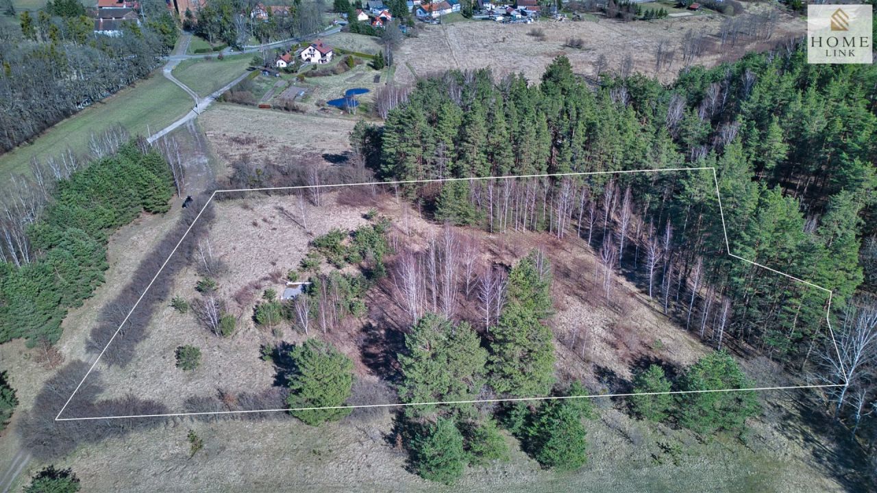 Działka rolno-budowlana Brąswałd. Zdjęcie 3