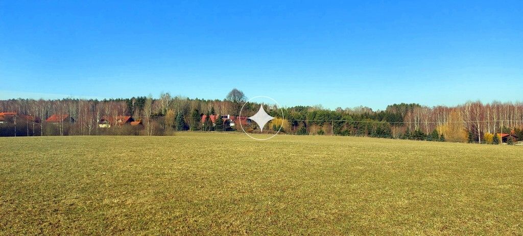 Działka rolna Marcinkowo. Zdjęcie 1