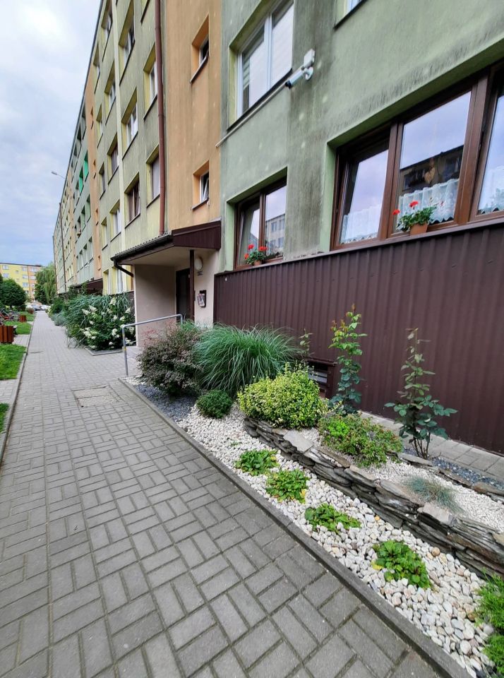 Mieszkanie 3-pokojowe Bełchatów, os. Wolność. Zdjęcie 3