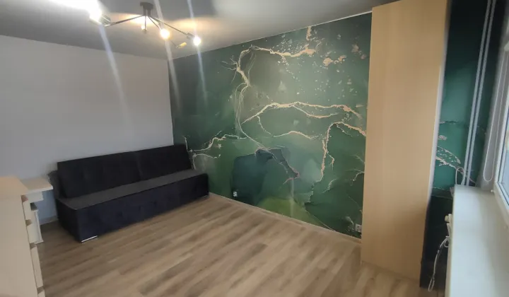 Mieszkanie 1-pokojowe Łódź Teofilów, ul. Rojna