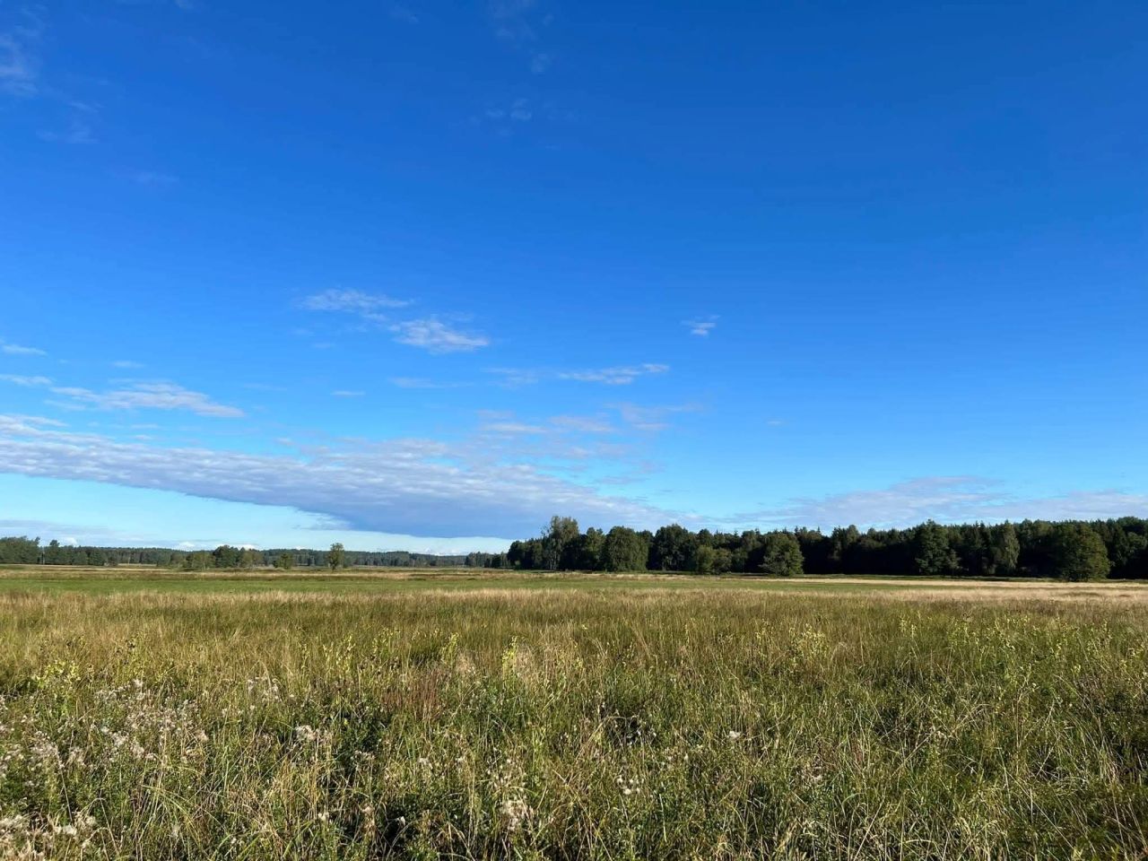 Działka rolna Trzebielino, Trzebielino. Zdjęcie 7