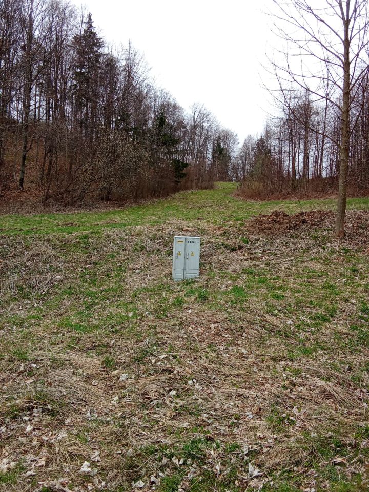 Działka rolna Nowy Waliszów, Nowy Waliszów. Zdjęcie 4