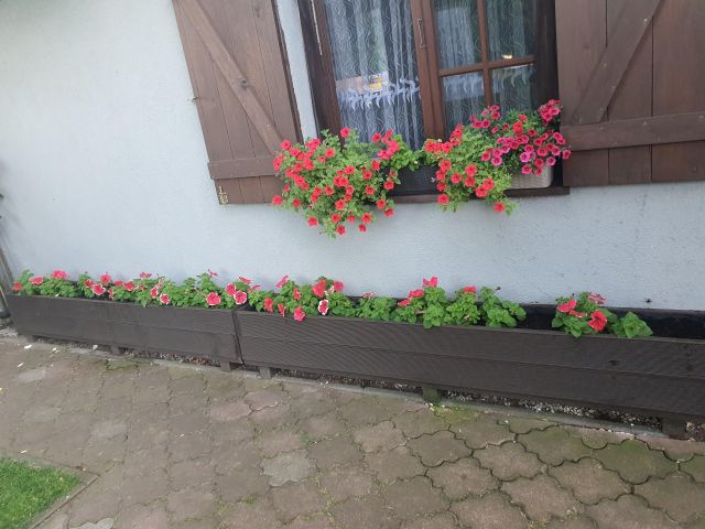Działka rod Oborniki, ul. mjr. Mikołaja Dobrzyckiego. Zdjęcie 1