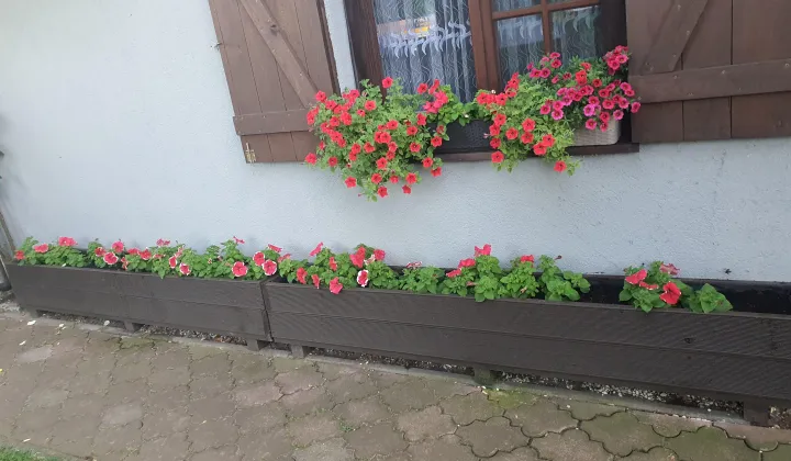 Działka rod Oborniki, ul. mjr. Mikołaja Dobrzyckiego