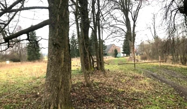 Działka budowlana Łężyce