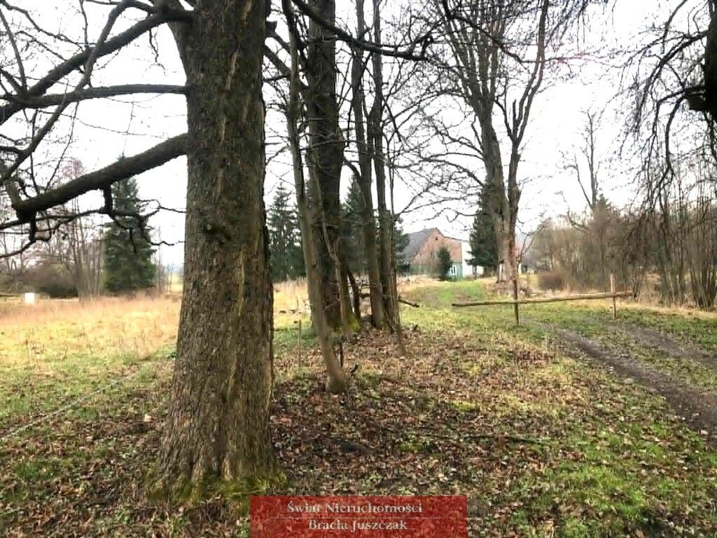 Działka budowlana Łężyce. Zdjęcie 1