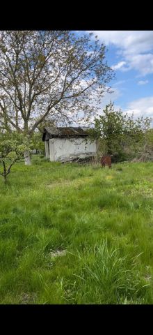 Działka rod Gorzów Wielkopolski. Zdjęcie 1