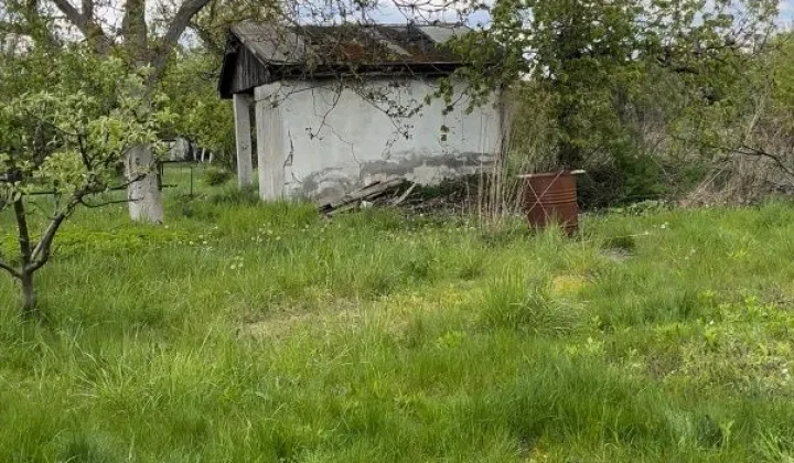 Działka rod Gorzów Wielkopolski
