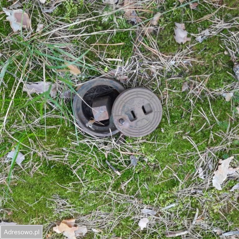 Działka leśna Słopsk. Zdjęcie 6