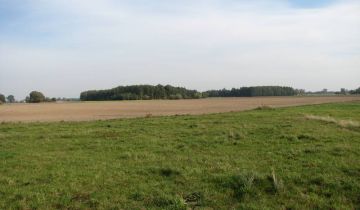 Działka rolno-budowlana Wępiły