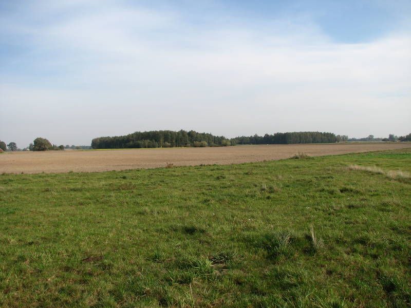 Działka rolno-budowlana Wępiły. Zdjęcie 3